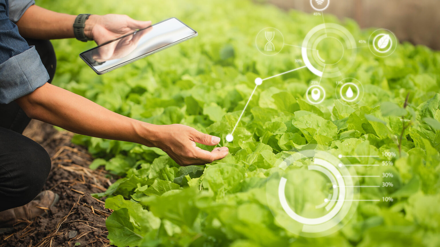 Smart Agriculture in Malaysia: How IoT and Cloud Technology Are ...